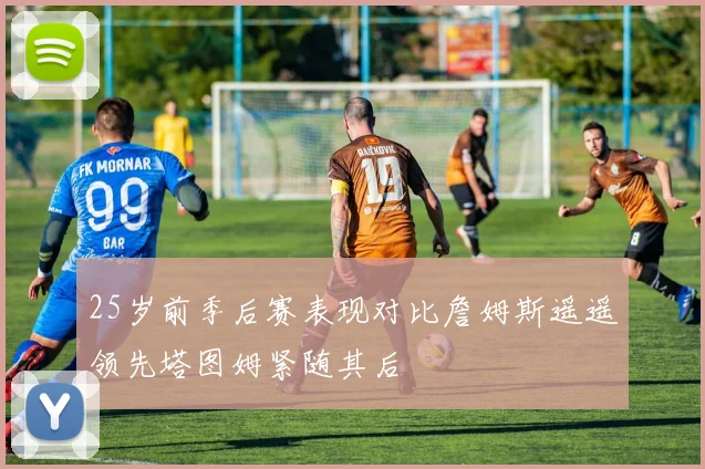 25岁前季后赛表现对比詹姆斯遥遥领先塔图姆紧随其后
